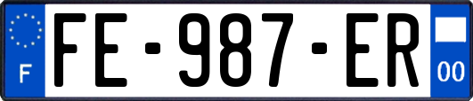 FE-987-ER