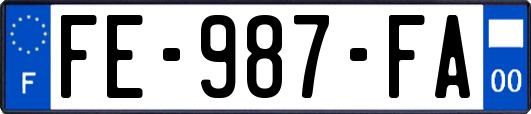 FE-987-FA