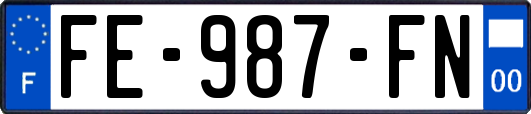 FE-987-FN
