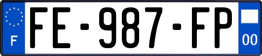 FE-987-FP