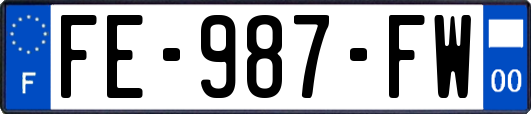 FE-987-FW