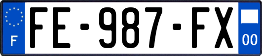 FE-987-FX