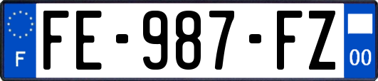FE-987-FZ