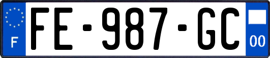 FE-987-GC