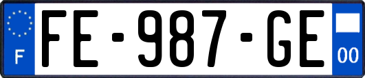 FE-987-GE