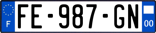 FE-987-GN