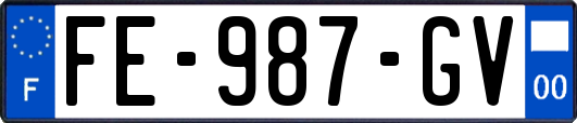 FE-987-GV