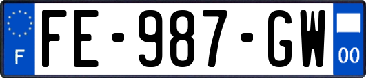 FE-987-GW