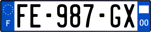 FE-987-GX