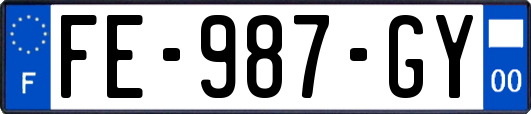 FE-987-GY