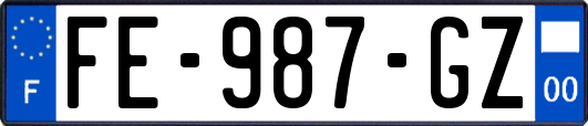 FE-987-GZ