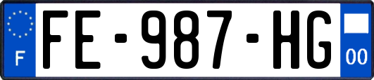 FE-987-HG