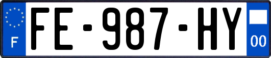 FE-987-HY