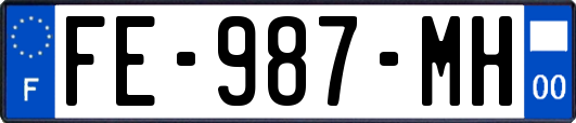 FE-987-MH