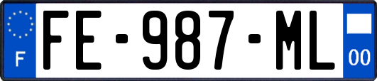 FE-987-ML