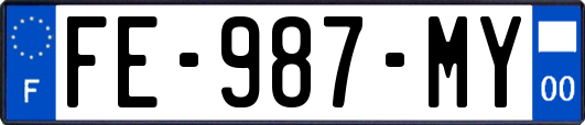 FE-987-MY