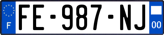 FE-987-NJ