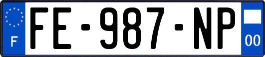 FE-987-NP