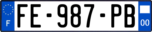 FE-987-PB