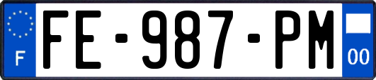FE-987-PM