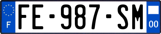 FE-987-SM