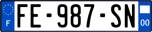 FE-987-SN
