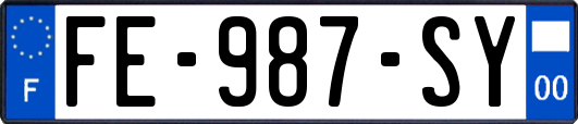 FE-987-SY