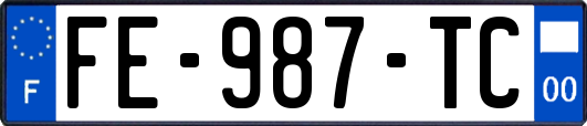 FE-987-TC