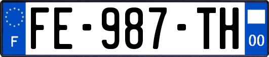 FE-987-TH