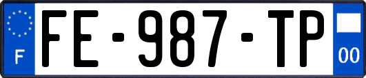 FE-987-TP