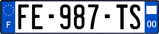 FE-987-TS
