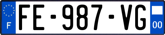 FE-987-VG