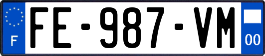 FE-987-VM