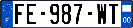 FE-987-WT