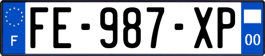 FE-987-XP