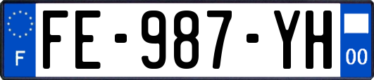 FE-987-YH