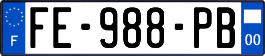 FE-988-PB