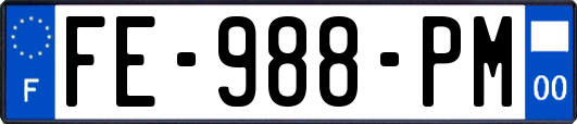 FE-988-PM