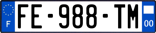 FE-988-TM