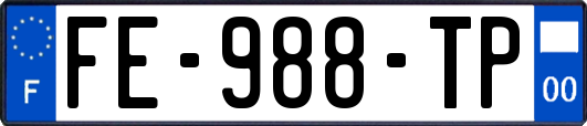 FE-988-TP