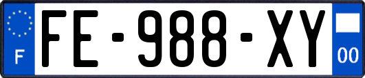 FE-988-XY
