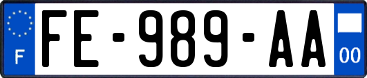 FE-989-AA