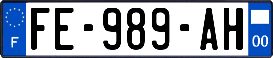 FE-989-AH
