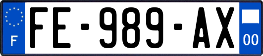 FE-989-AX