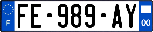 FE-989-AY