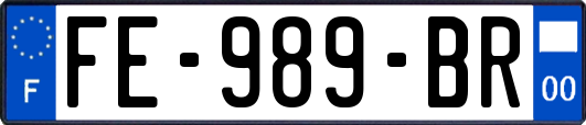 FE-989-BR
