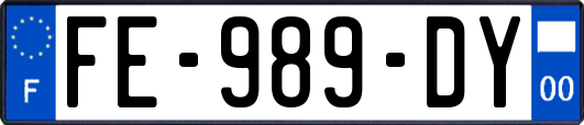 FE-989-DY