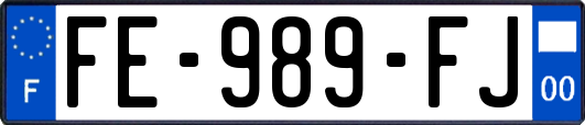 FE-989-FJ