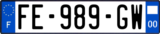 FE-989-GW