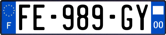 FE-989-GY